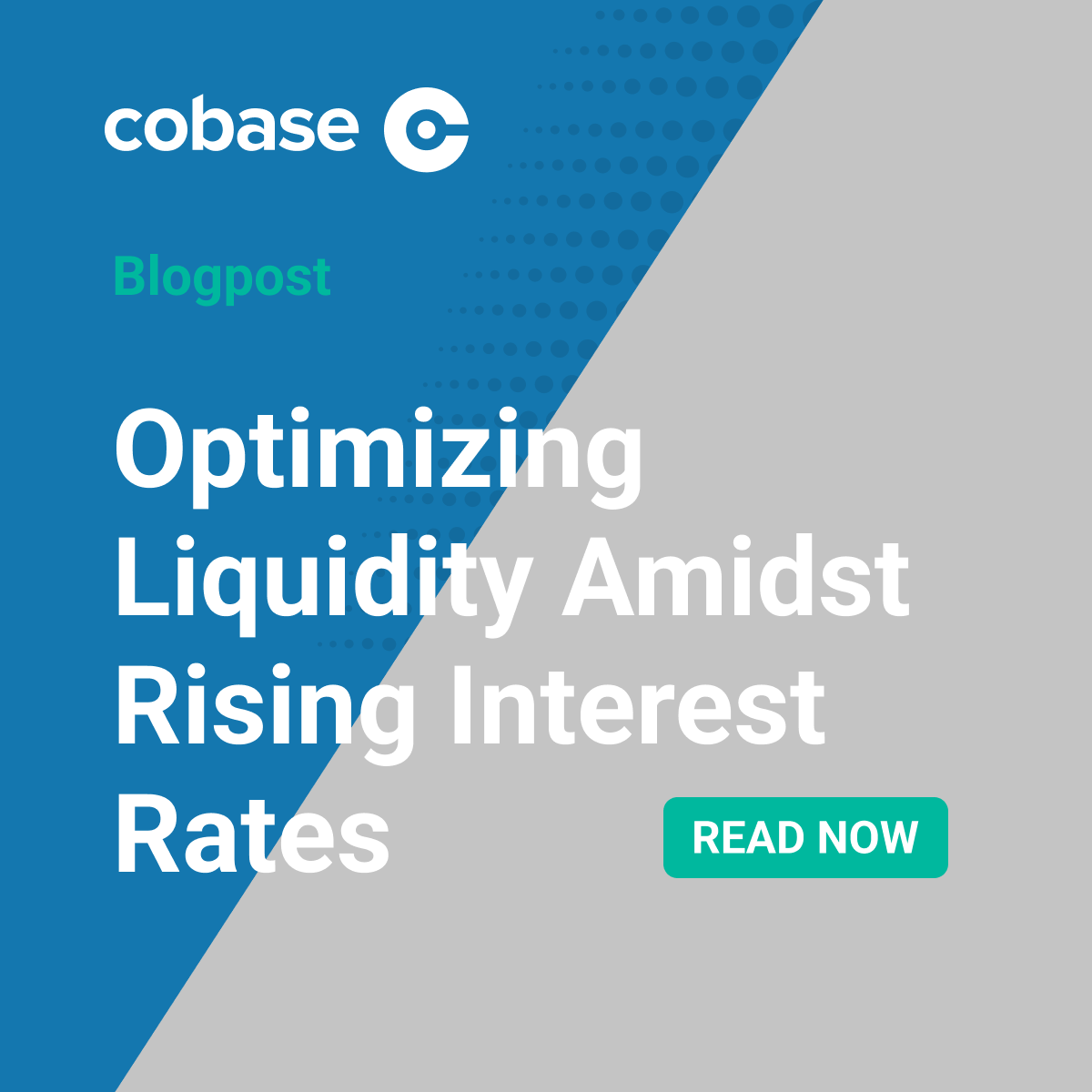 Optimizing Liquidity Amidst Rising Interest Rates: A 2024 Outlook