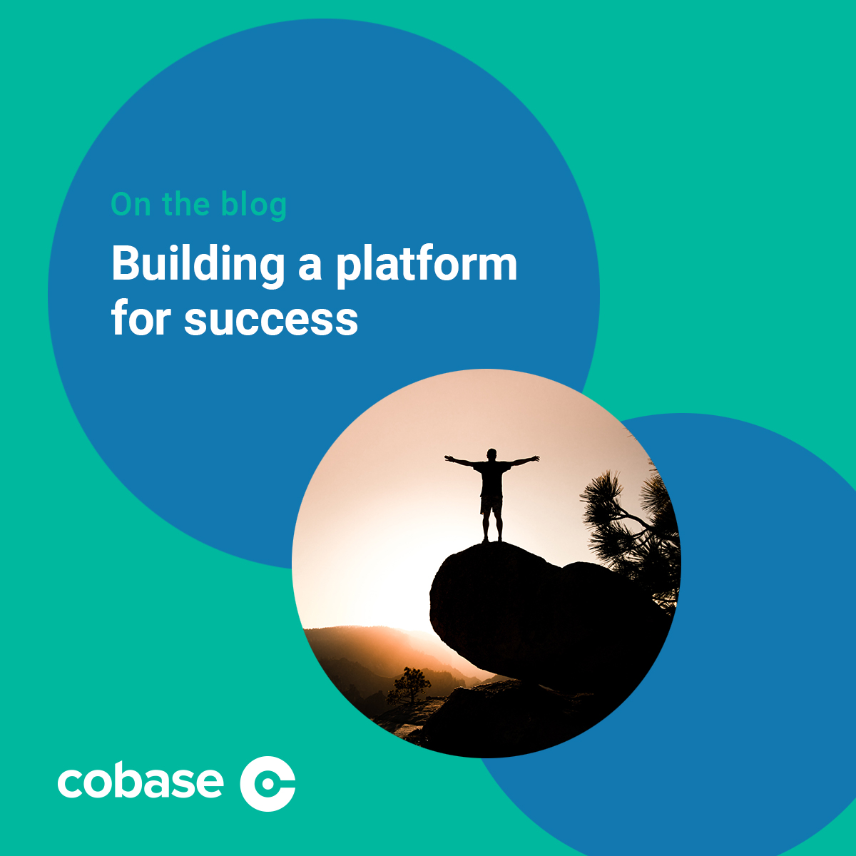 Building a platform for success